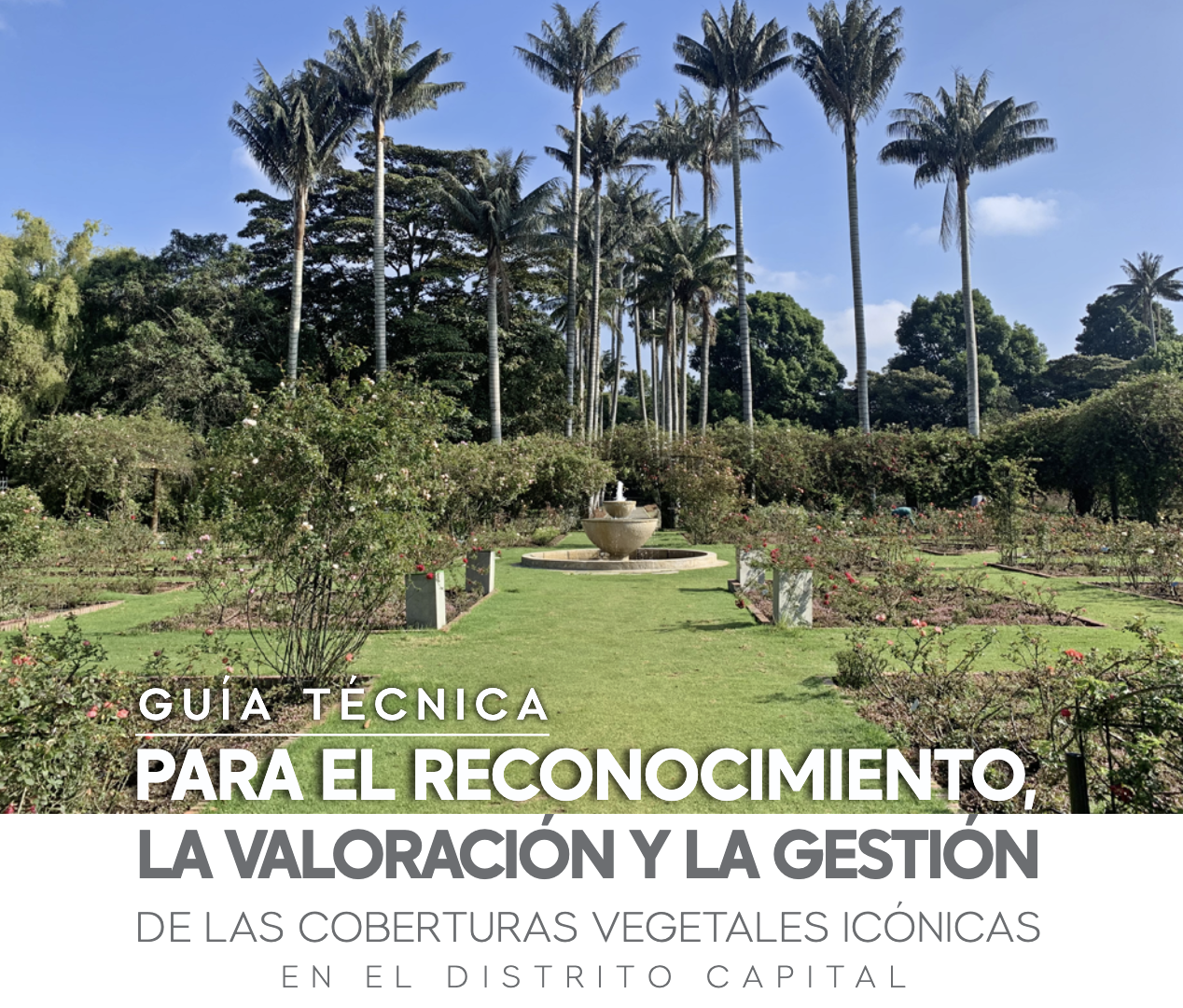 portada Guía técnica para el reconocimiento, la valoración y la gestión de las coberturas vegetales icónicas en el Distrito Capital